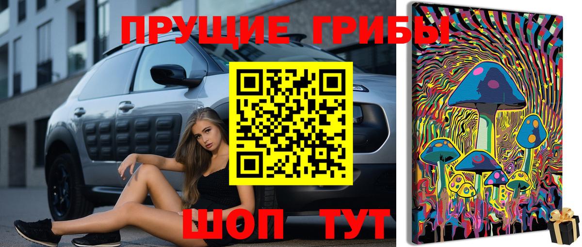 Галлюциногенные грибы GOLDEN TEACHER Краснокаменск