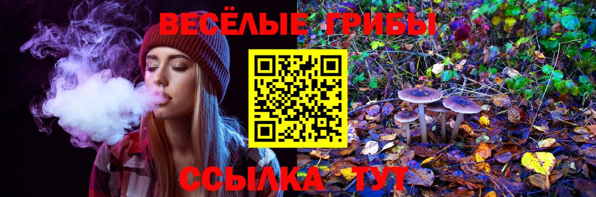 Краснокаменск  Псилоцибиновые грибы мухоморы  Вход с VPN 